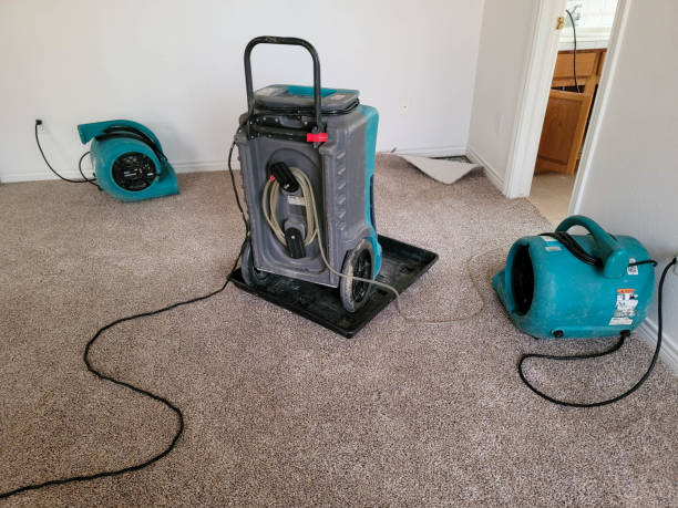 Best Commercial water damage restoration  in Champion Heights, OH