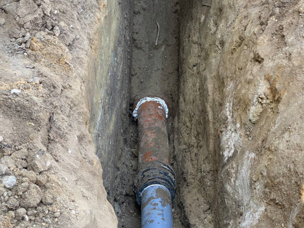 Best Professional water damage repair  in Champion Heights, OH