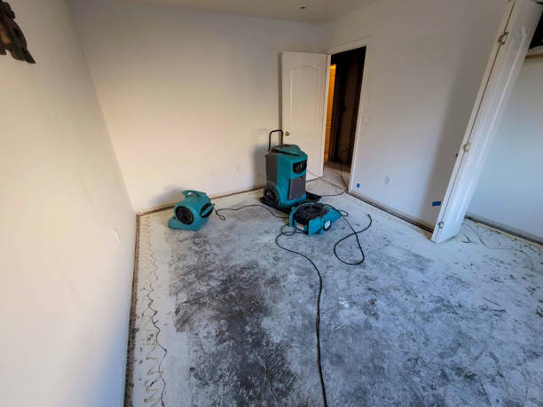  Champion Heights, OH Water damage restoration Pros