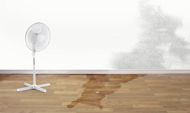 Best Basement water damage restoration  in Champion Heights, OH