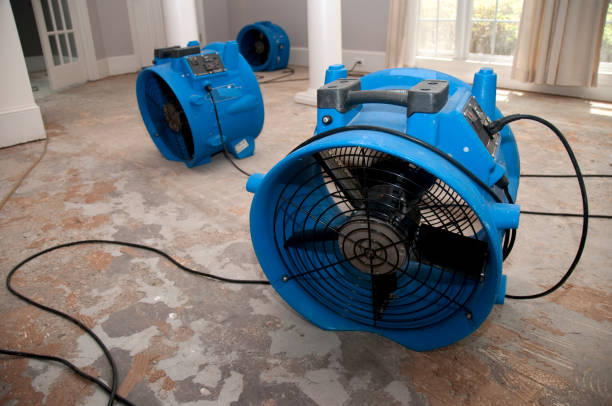 Best Mold removal after water damage  in Champion Heights, OH