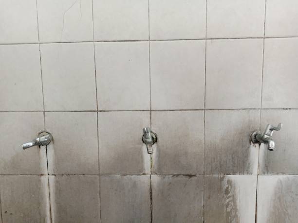 Best Commercial water damage restoration  in Champion Heights, OH
