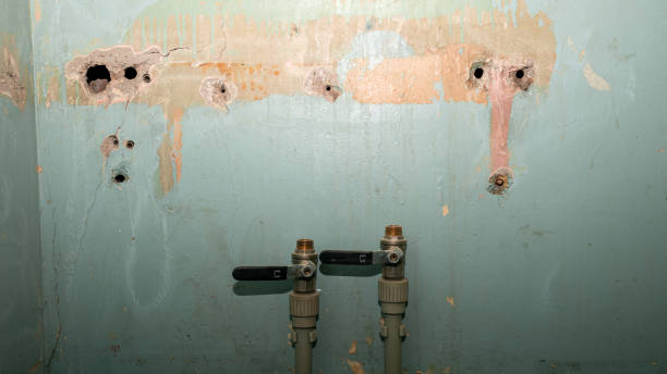 Best Water damage restoration services  in Champion Heights, OH