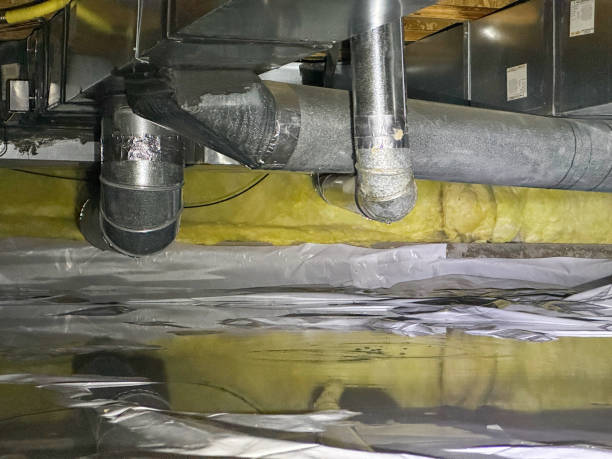 Best Local water damage restoration  in Champion Heights, OH