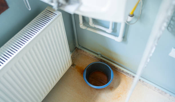 Best Water damage restoration near me  in Champion Heights, OH