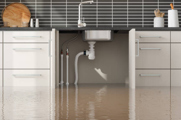 Best Carpet water damage restoration  in Champion Heights, OH