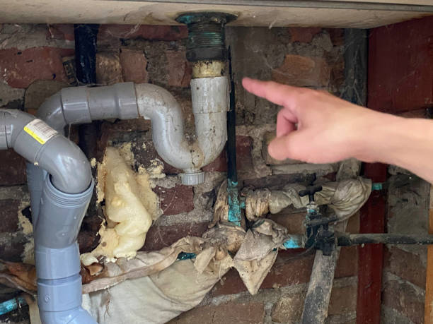 Trusted Champion Heights, OH Water damage restoration Experts