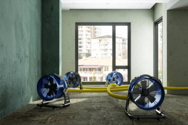 Best Sewage cleanup and water damage restoration  in Champion Heights, OH