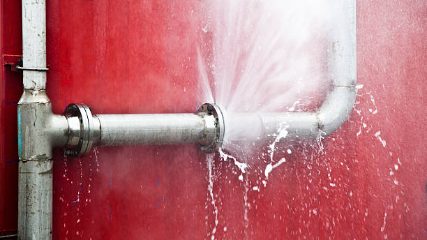 Best Sewage cleanup and water damage restoration  in Champion Heights, OH